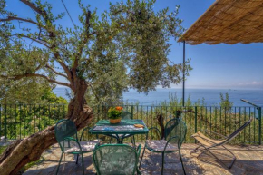 Villa Solaria, Sori